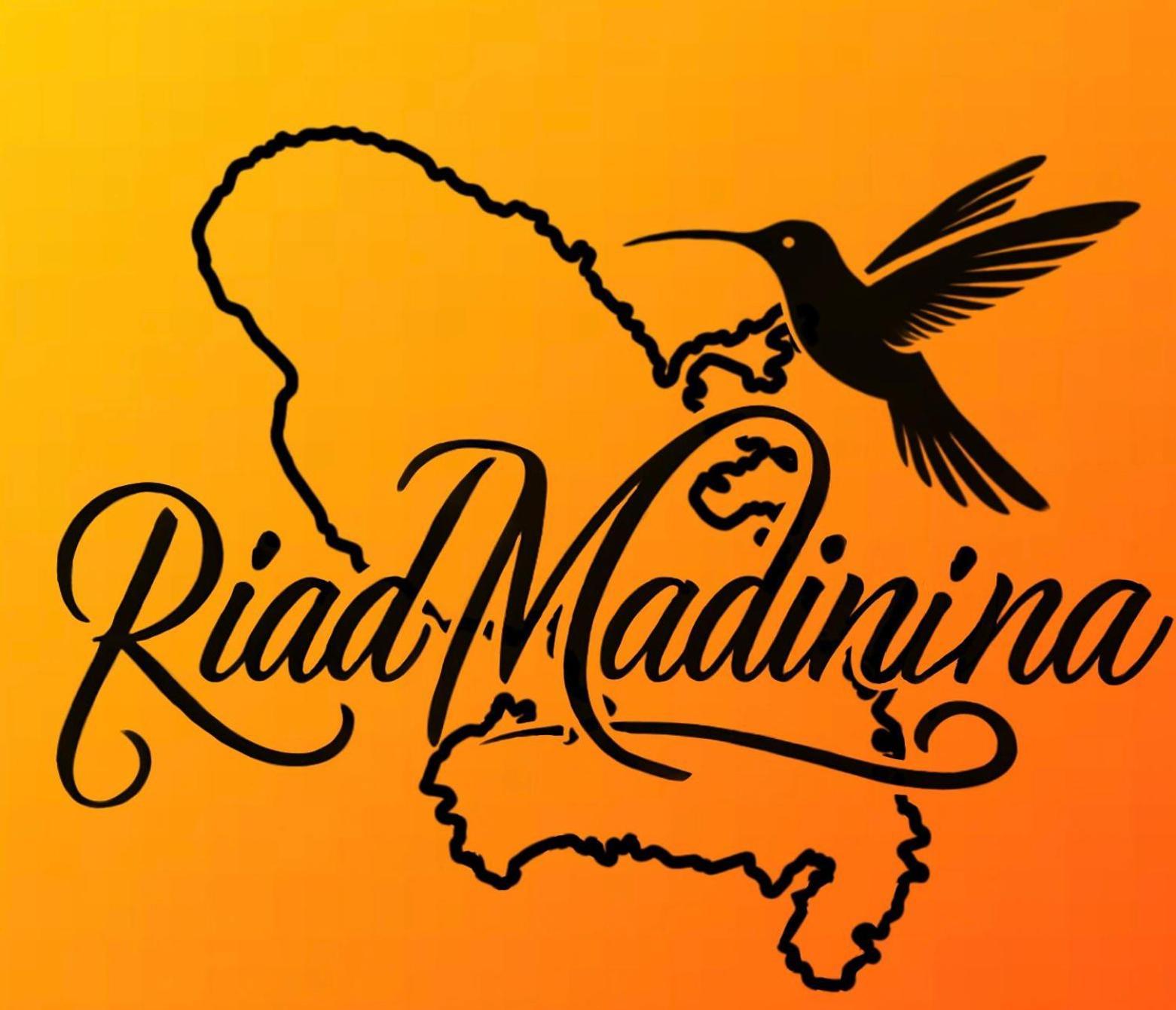Riad Madinina Marrakesh Ngoại thất bức ảnh